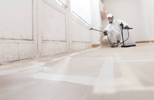 24/7 Emergency Basement Mold Removal experts in Midland, TX